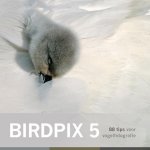 D. Schoonhoven - Birdpix 5
