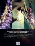 Chinees , Michael . ( Met een voorwoord van David Bellamy . )   [ isbn 9789038917818 ] - Insecten . ( Verbazingwekkende beelden van fascinerende schepsels . ) Welkom in de fascinerende, boeiende, en vaak onzichtbare wereld van de insecten. Het zijn oneindig intrigerende schepsels en ze vormen de grootste groep van dieren in de natuur.  -