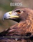 Britannica Illustrated Science Library - Birds