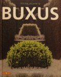 Ireen Schmid - Buxus
