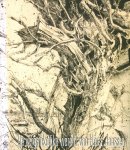 Boogert, Bob van den & Jutta Moster-Hoos - De vergankelijke wereld van Horst Janssen (red.)