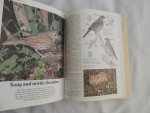 FLEGG,JIM - Theresa Brendell - BIRDS OF THE BRITISH ISLES - Shire Natural History Series
