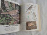 FLEGG,JIM - Theresa Brendell - BIRDS OF THE BRITISH ISLES - Shire Natural History Series