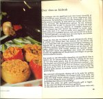 Halverhout, Heleen A.M. en Illustraties van Rein van Looy - Van spit en grill