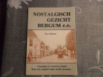 Medema Theo - Nostalgisch gezicht Bergum e.o.