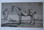 Unknown maker after Paulus Potter (1625-1654) - [Antique print, etching] The Courtaud Horses (paard met kort gesneden oren en staart), published ca. 1800.