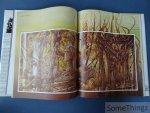 Brown, Rupert (red.), Brian Froud  (ills.) en J.J. Llewellyn (tekst). - De Wereld van het donkere Kristal