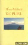 Mulisch, Harry - De pupil