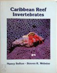 Nancy Sefton,  Steven K. Webster - A Field Guide to Caribbean Reef Invertebrates