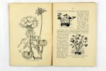 Boon, B. - Kamerplanten in school en huis (2 foto's)