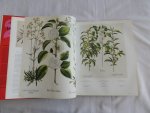 Besler, Basilius - The Book of Plants. The Complete Plates.