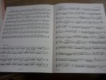Guisbert, Franz Julius (herausgegeben von) - 15 Solos by Eighteenth-century Composers  -  voor altblokfluit