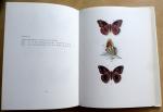 Russwurm, A.D.A. - Aberrations of British Butterflies