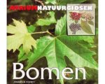 Pamela Forey - Bomen Pamela Forey - Bomen