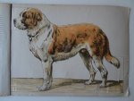 Stüven, W.S.. - De hond, zijn lichaamsbouw en zijne inwendige organen. Aanschouwelijk voorgesteld door 5 gekleurde, beweegbare platen en verklarenden tekst, voor fokkers en liefhebbers van honden. Stüven, W.S.. - De hond, zijn lichaamsbouw en zijne inwendige organen. Aanschouwelijk voorgesteld door 5 gekleurde, beweegbare platen en verklarenden tekst, voor fokkers en liefhebbers van honden.