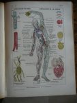 Dr. Galtier-Boissiere - Larousse Medical illustre   Medische encyclopedie
