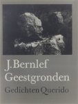 J Bernlef - Geestgronden