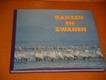 Ebbinge, Bart (tekst) - Ganzen en Zwanen. Arctische Trekvogels bij Boeren te gast.