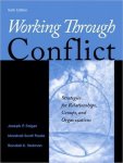 Randall K. Stutman, Marshall Scott Poole - Working Through Conflict