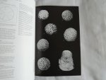 Rhebergen, Freek  - Römer J H, Anderson W F, e.a. - Ordovicische zwerfsteensponzen. Staringia 9 --- Grondboor en hamer Tijdschrift Nederlandse Geologische Vereniging . jaargang 55 nummer 1