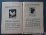 Jos. Adinau. - Beschrijving onzer voornaamste krielhoenders. Met talrijke illustraties.