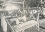  - Fibres of Netherlands East-India.