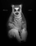 Elliot Ross - Animal