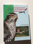 Bijlsma, R.G. - Ecologische atlas van de Nederlandse roofvogels / druk 2