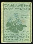KLEIN, L. - Unsere Waldblumen und Farngewächse