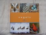 Burger, J. - Vogels / een topboek voor iedere vogelliefhebber