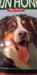 Bruin,Stephe (hoofdred.) - MIJN HOND mijn vriend BE