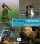 Gerrie Abel, Michiel van Vliet, Wilco Stoopendaal, Luc de Bruijn, Henk Lichtenbeld, Peter de Nooijer, Dorien Korver-Benschot - Broedvogels in Nieuwegein. Waar, hoeveel en trends