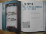 Noreen ter Beke en Suzanne van der Pijll - Noordzeevis uit Scheveningen / Scheveningens trots in verhalen en recepten