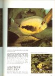Gilbert John  en Raymond Legge  .. Vertaling  H.J. de Kreek   onder supervisie van Frank  de Graaf - Elseviers aquariumboek  ..  Een handleiding voor houders van een tropisch aquarium