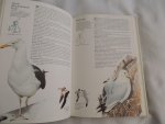 John Gooders; Terence Lambert - norman arlott - COLLINS BRITISH BIRDS
