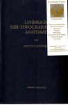 Hafferl, Anton - Lehrbuch der topographischen Anatomie