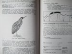 R.D. Etchécopar - F. Huë - Les Oiseaux du Nord de l' Afrique de la Mer Rouge aux Canaries