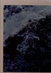 SIMONEAU, Guillaume - Guillaume Simoneau - Murder. [With loose inserted booklet with text in English and Japanese - Shino Kuraishi: Crows as messengers of good news].
