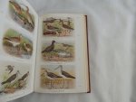 HOLLOM,P.A.D. - THE POPULAR HANDBOOK OF BRITISH BIRDS
