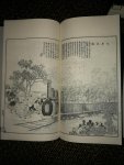 Shenbao "Shanghai News" - Dian Shi Zhai Hua Bao (点石斋画报)  12 Volumes (juan卷) in  3 Chinese Stijl omslagen   ( han函 )