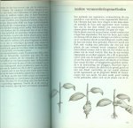 Diverse specialisten & schrijvers .. Tekeningen van Erno Tromp  .. Met vele schitterende kleuren illustraties 250 - Moment voor uw kamerplanten  ..  Samengesteld door specialisten op het gebied van bloemen- en plantenverzorging uit binnen- en buitenland.