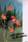Hardy, George A. & Winifred V. Hardy - Wild Flowers In The Rockies Hardy, George A. & Winifred V. Hardy - Wild Flowers In The Rockies