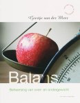 G. van der Meer - Balans