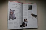 Bruin Stephe; Susie Page - Complete Gids Voor Katten Liefhebbers met meer dan 100 rassen en kleurslagen