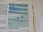 D Guyver Britton; Tsuneo Hayashida - foreword by S. Dillon Ripley. - The Japanese crane : bird of happiness