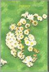  - Depressie zelfzorgboek