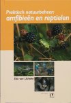 Edo van Uchelen - Praktisch Natuurbeheer: Amfibieen En Reptielen