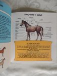 Chabault - Smette - een kijkje in de paardenwereld