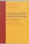 Zindel van Segal,  Amp, J.M.G. / TEASDALE, J.D. Williams - Aandachtgerichte cognitieve therapie bij depressie een nieuwe methode om terugval te voorkomen