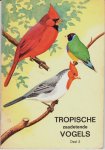  - Tropische zaadetende vogels - deel 2